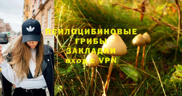 марки nbome Кукмор