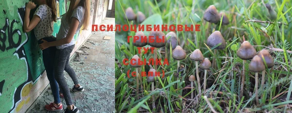 MESCALINE Кулебаки